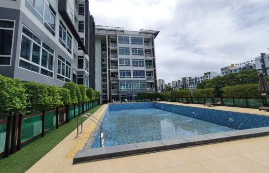 �Ң�ѭ �Ź�����