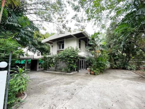 ���⢹� �� Nuttapong