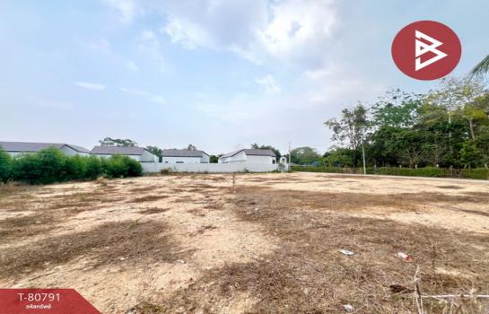 �ź��� �� The Best Property Agent