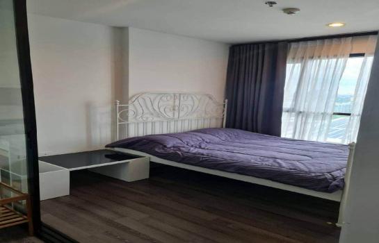 �������Ѳ�� �� samita