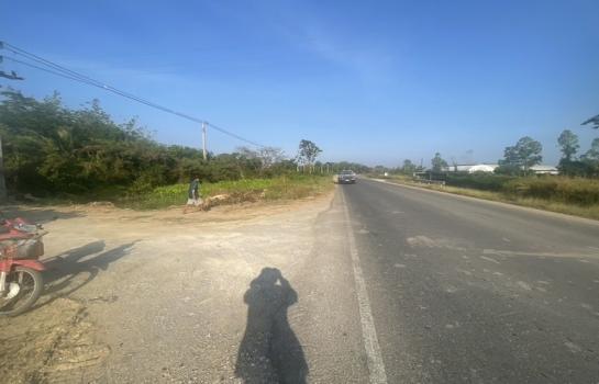 �Ҫ���� �� sopa