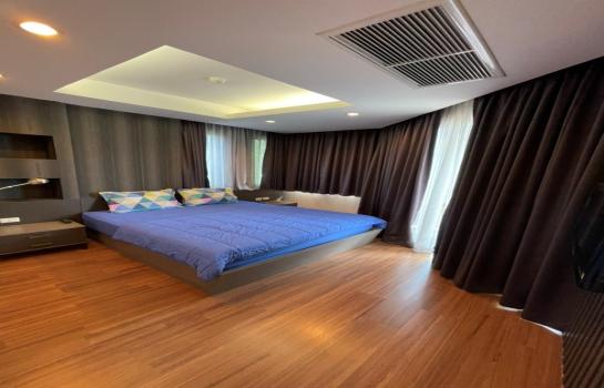 �Ң�ѭ �Ź�����