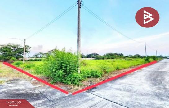 �ź��� �� The Best Property Agent