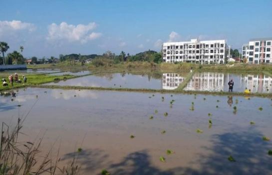 �ѹ���� �� northern1