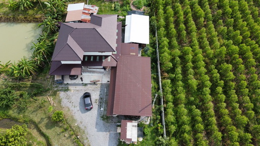 ที่ดิน 4 ไร่ ที่ดิน 4 ไร่