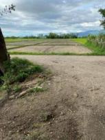 ��·��Թ �Ҥһ�С�Ȣ�� 2,000,000 �ҷ