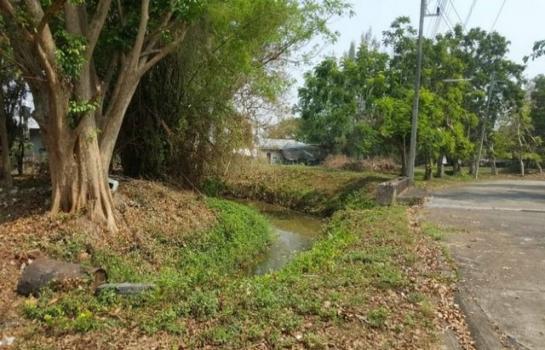 ������� �� onanong khumaphao