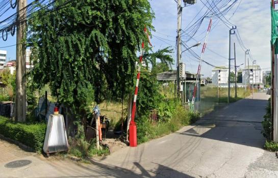 ���Թ�ҧ�� �� HarrisonTH