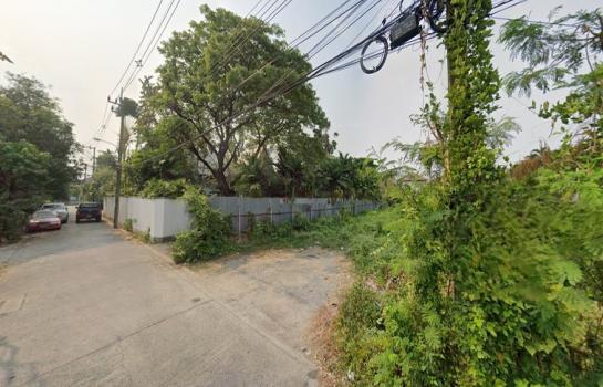 ����Ҵ����� �� HarrisonTH