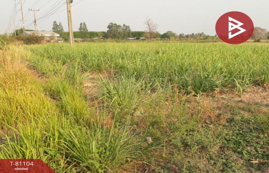 �͹�� �� The Best Property Agent