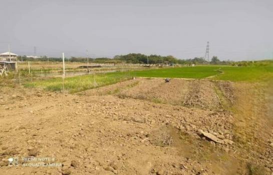 ������ �� onanong khumaphao