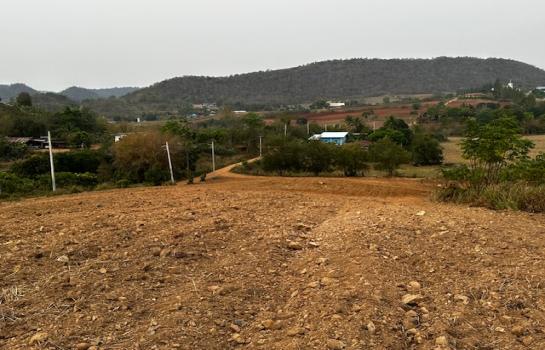 ���Թ 5 ���