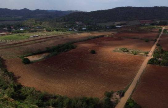 ��¡�ا෾ �� Bangkok Home Condo