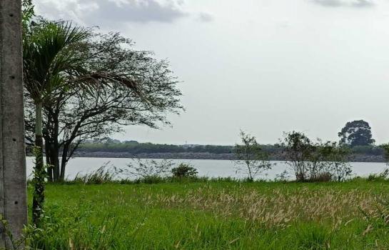 ที่ดิน pattaya ที่ดิน pattaya