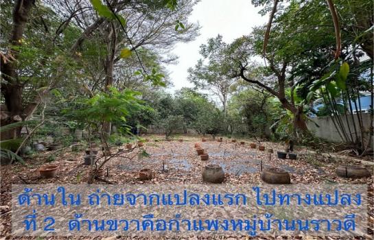 ��·��Թ 18,800,000 �ҷ