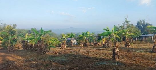 ྪú�ó� �� sopa