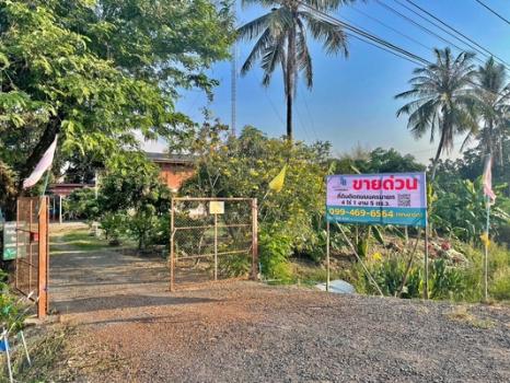 ��ù�¡ �� Estate Corner