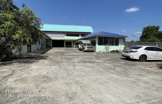 ������� �� Kong property