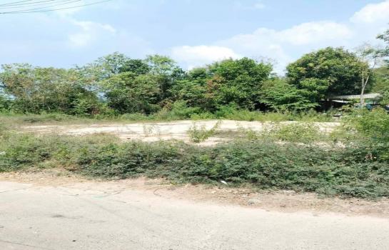 ที่ดิน 4 ไร่ ที่ดิน 4 ไร่