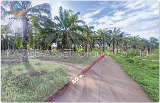 ���Թ ���ǹ �����