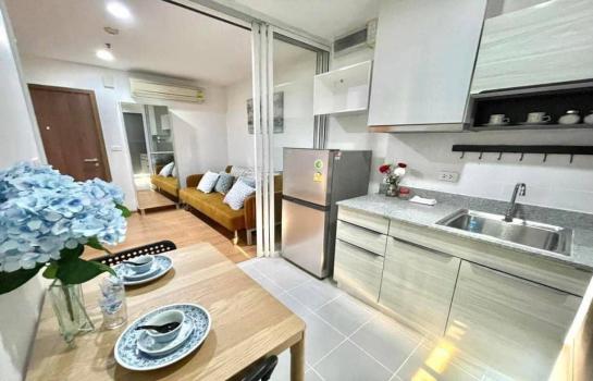 �����¹��� ���˹����ѧ�������Ѿ��