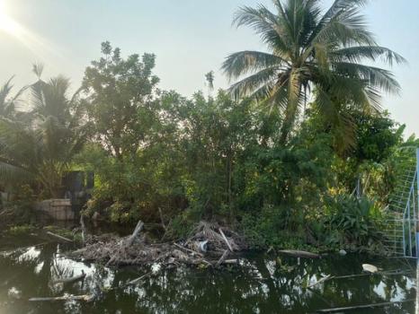 �ط����� �� Estate Corner