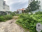 ���Թ�����������׹��� �Ѳ��