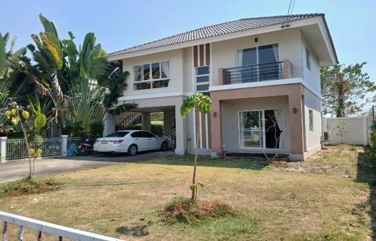 �ҧ�� �� �Ң�ѭ �Ź�����