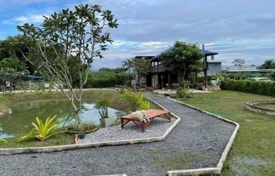 ������ �� northern1