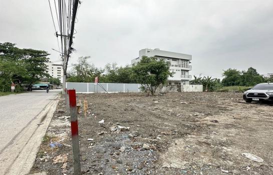 ขายที่ดิน Paradise ขายที่ดิน Paradise