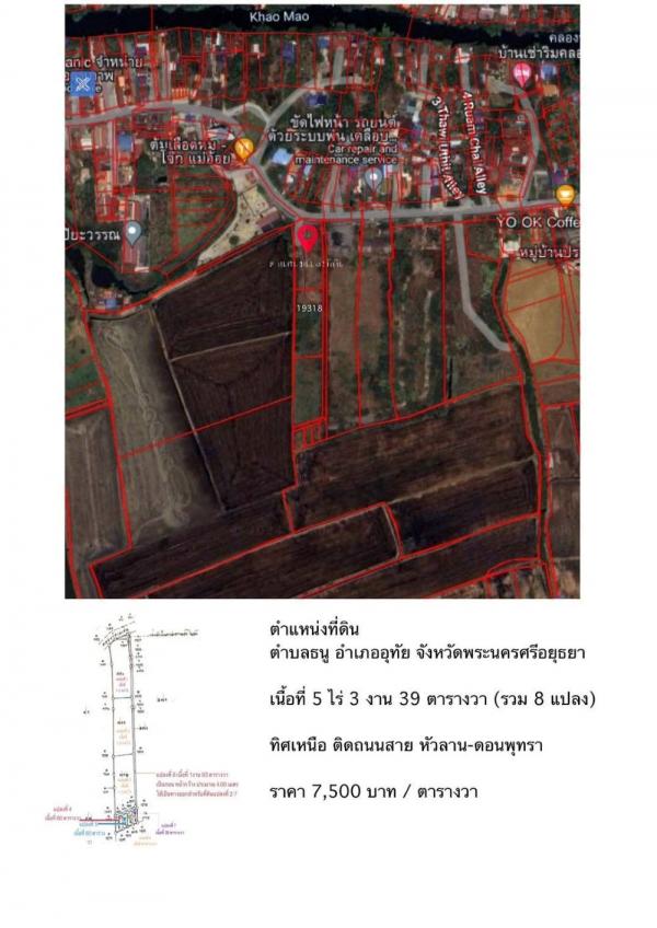 ���Թ 5 ���