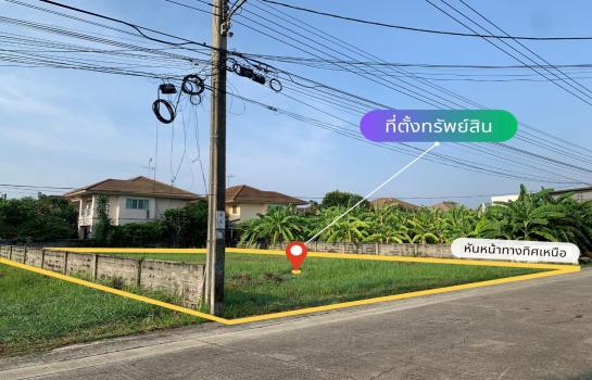 ที่ดิน lotus ที่ดิน lotus