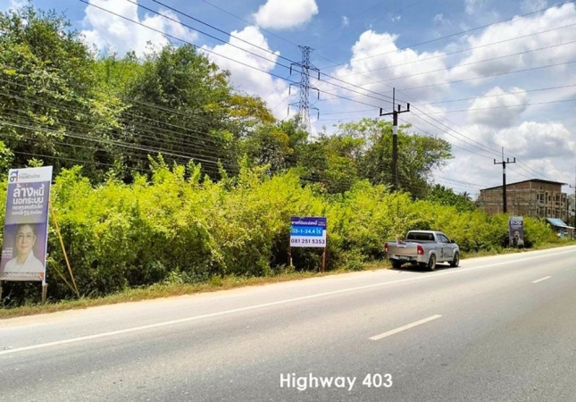 ที่ดิน lotus ที่ดิน lotus