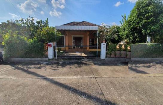 �ҧ�� �� �Ң�ѭ �Ź�����