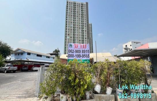 ที่ดิน lotus ที่ดิน lotus