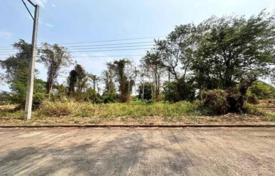 �ѹ���� �� northern1