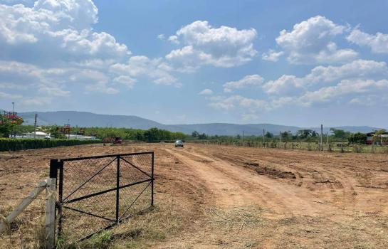 ที่ดิน 4 ไร่ ที่ดิน 4 ไร่