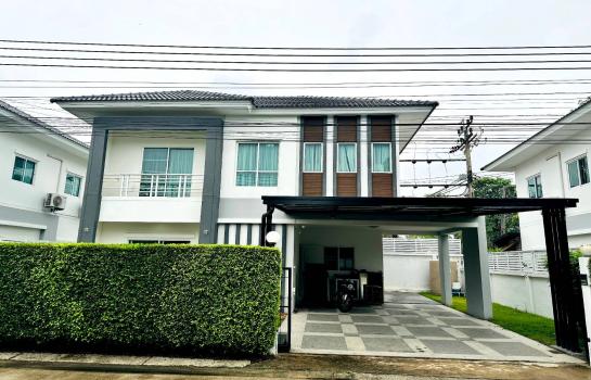 ��º�ҹ 4,950,000 �ҷ