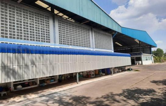 �ç�ҹ�ź��� �� Airatda