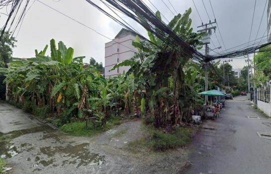 ����Ѳ�� �� HarrisonTH