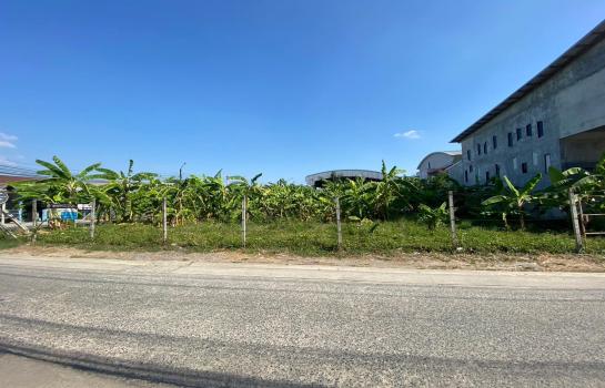 ที่ดิน lotus ที่ดิน lotus