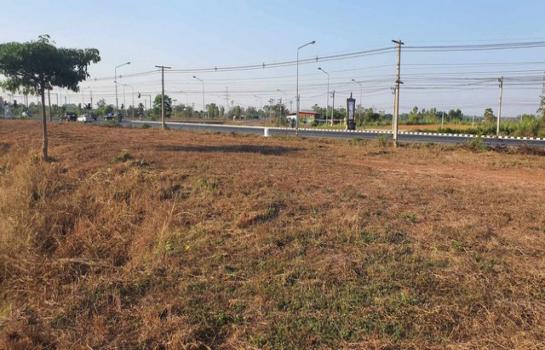 ��þ�� �� sopa