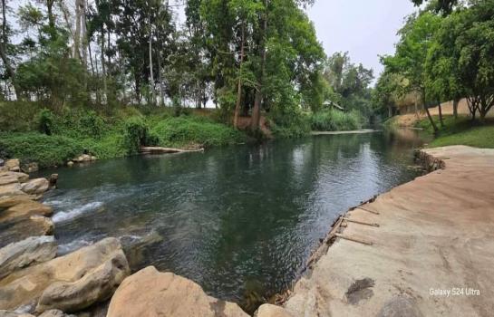 ที่ดิน lotus ที่ดิน lotus