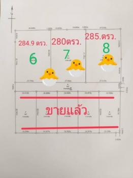 �ź��� �� sopa