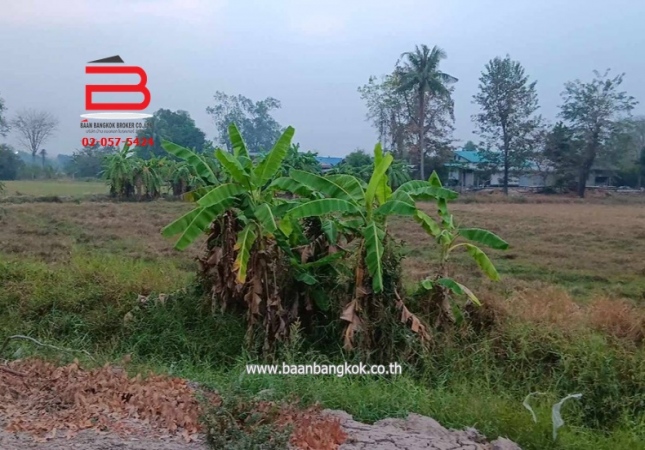 ���Թ˹�ҡ��ҧ �ؾ�ó����