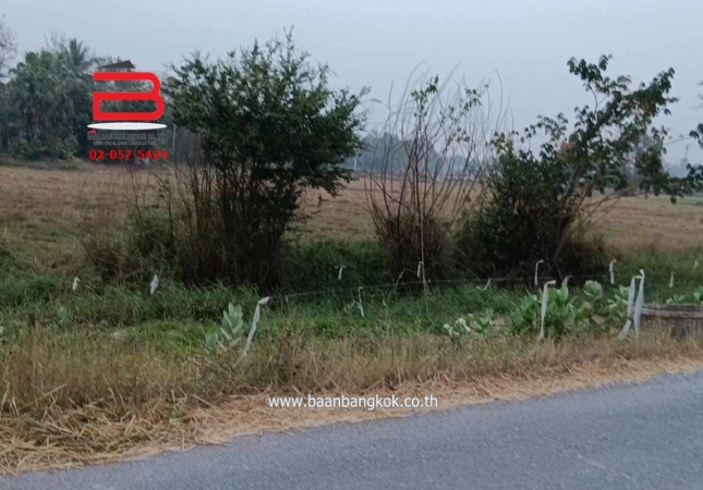 ���Թ˹�ҡ��ҧ138���� �ؾ�ó����