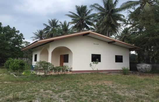 ��� �� sopa