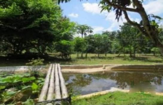 ������� �� onanong khumaphao