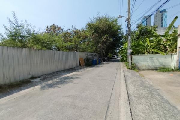 ���Թʹ������ �ѹ�����