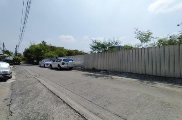 ���Թ��鹷������� �ѹ�����